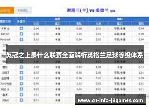 英冠之上是什么联赛全面解析英格兰足球等级体系