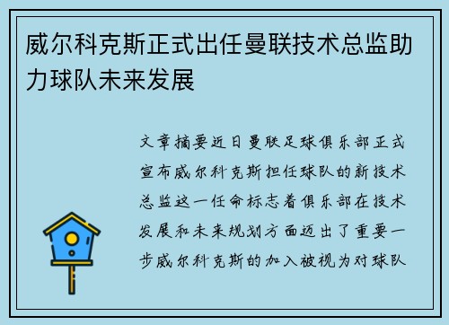 威尔科克斯正式出任曼联技术总监助力球队未来发展